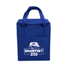 Factory Price Promotion Insulate Non Woven Carry on Cooler Bag Tote(TP-CB512)