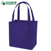 Green Printed Shopping Rote Promotional Bag (TP-SP160)