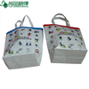 Custom Polypropylene Shopping Tote Laminated Non Woven Bag (TP-LB004)