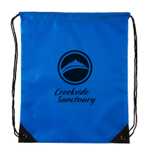 Custom Cheap Polyester Drawstring Bag Drawstring Backpack (TP-DB317)