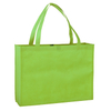 Promotion cheap non woven tote bag eco shopping grocery bags (TP-SP665)