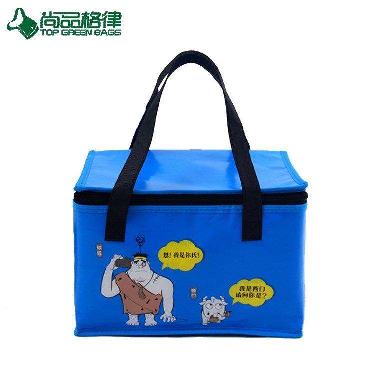 Waterproof Insulated Picnic Tote Laminating Lunch Cooler Bag (TP-CB533)