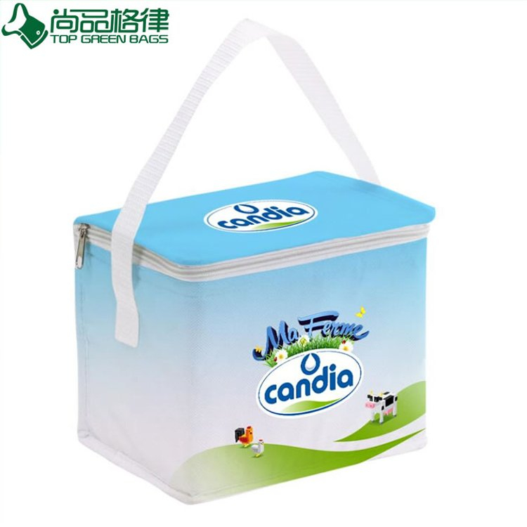 Cheap PP Non Woven Laminated Coolers Bags (TP-CB321)