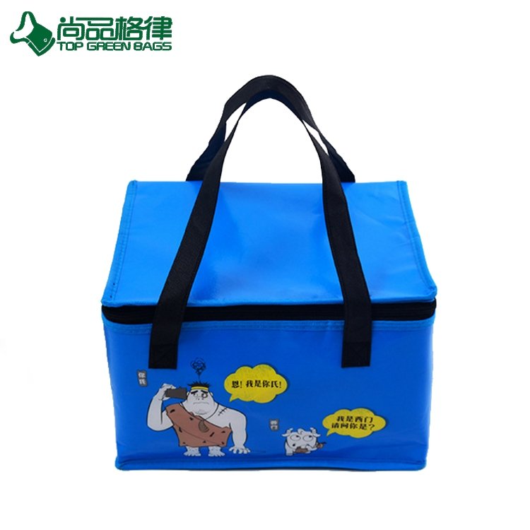 Waterproof Insulated Picnic Tote Laminating Lunch Cooler Bag (TP-CB533)