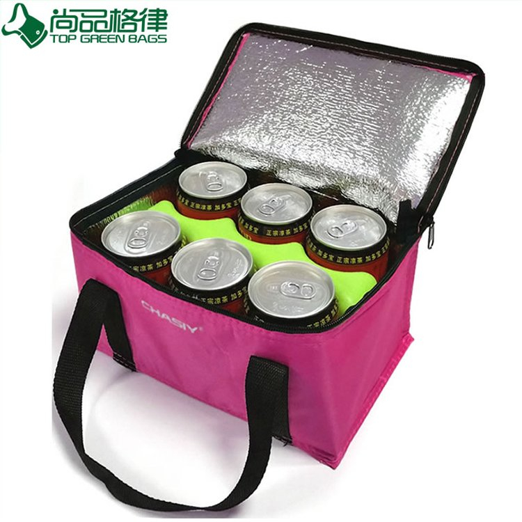 Customized 6 Pack Can Insulated Cooler Bag (TP-CB219)