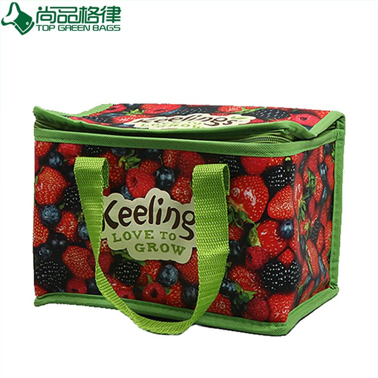 Full Colors Printing Laminated PP Non Woven Lunch Cooler Bag (TP-CB460)