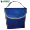 Small Cute Polyester Insulated Cooler Lunch Bag (TP-CB343)