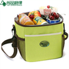 Hot Sale Insulated Picnic Bag Thermal Cooler Bag (TP-CB372)