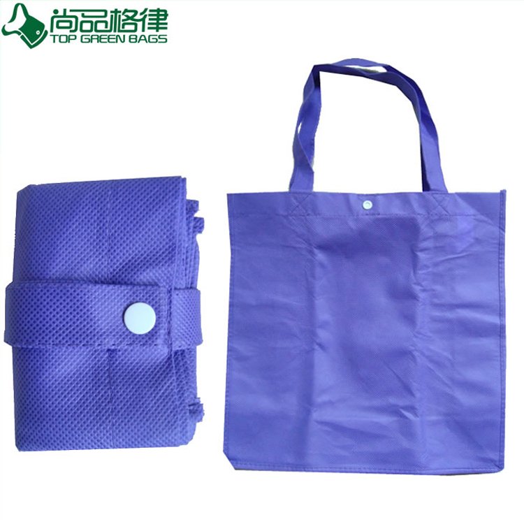 Fashion Shopping Bag for Promotion Eco Foldable Bag (TP-FB084)