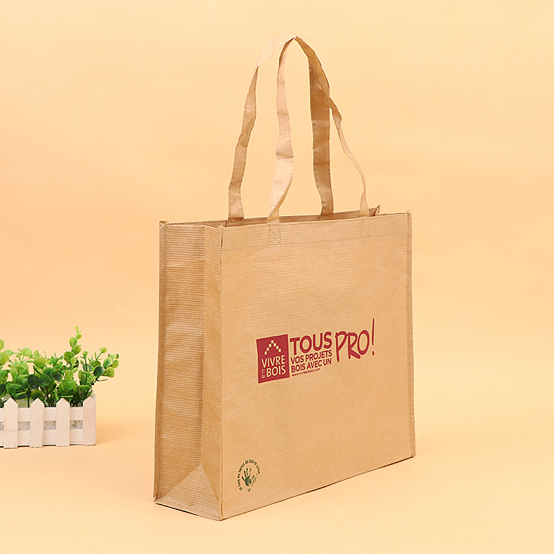 2019 Latest Fashion Eco-Friendly Extra Strong Takeaway Shopper Paper Bag